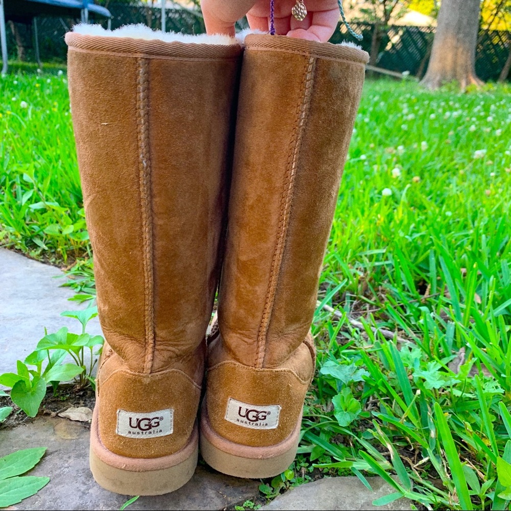 Tall Ugg Boots